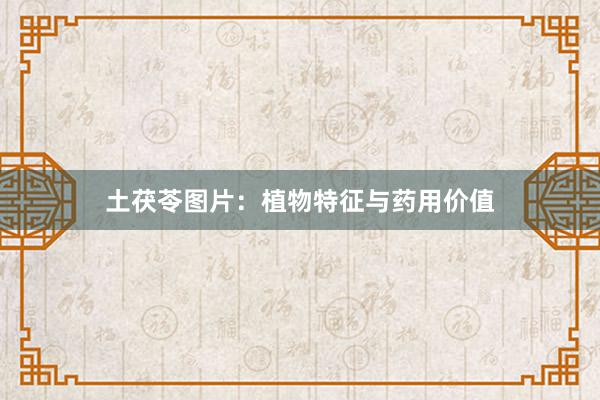 土茯苓图片：植物特征与药用价值