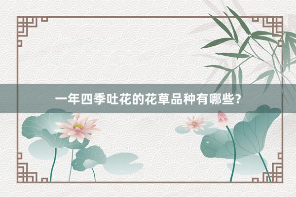 一年四季吐花的花草品种有哪些？